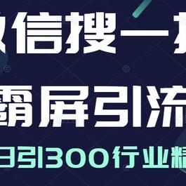 微信搜一搜霸屏引流课 打造被动精准引流系统 轻松日引300行业精准粉
