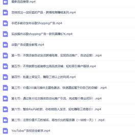 一起赚美金 无货源自动化跨境独立站 普通人业余时间也能在家卖货全球【无提供插件】