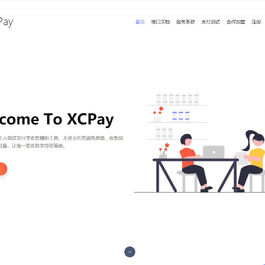 浪子Pay-码支付即时到账系统源码