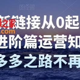拼多多新链接从0起盘必须掌握，进阶篇运营知识！让你拼多多之路不再迷茫