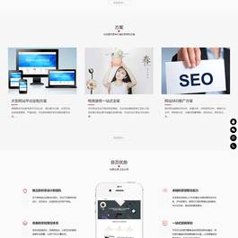 (自适应手机端)响应式网站建设软件开发小程序开发类网站pbootcms模板