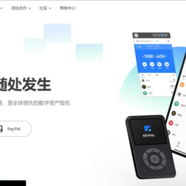 2022 全新imtoken/tp/metamask小狐狸假钱包系统/获取助记词盗u系统 附教程