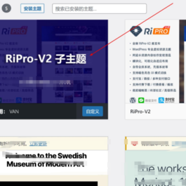 2022最新RiPro-V2子主题美化包源码