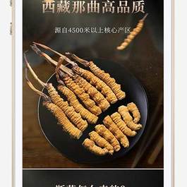 (独立手机版)营销推广落地页pbootcms模板 落地页单页网站源码