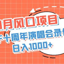 利用TF十周年演唱会录像变现+录像，日入1000+，简单无脑操作