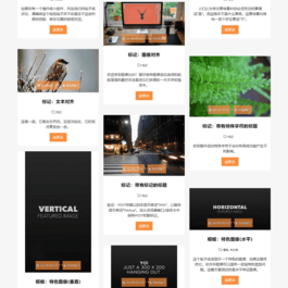 WordPress 响应式网格个人文章展示博客主题