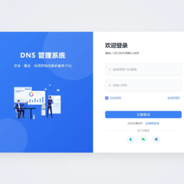 迅风DNS Pro二级域名分发全新V3.1.2系统源码