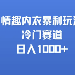 情趣内衣玩法，冷门赛道，日入1000+