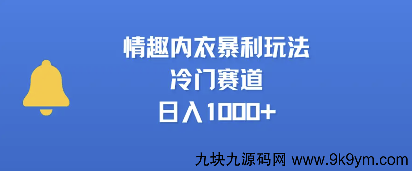 情趣内衣玩法，冷门赛道，日入1000+