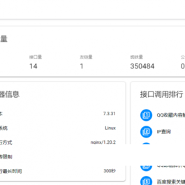 API管理源码 全新版本界面