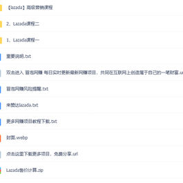 lazada零基础盈利无货源电商项目 东南亚来赞达跨境 利润完爆国内无货源电商