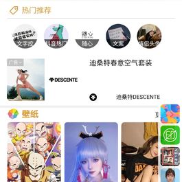 【壁纸小程序源码】双端微信抖音小程序