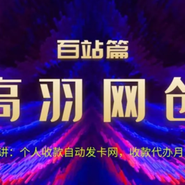高羽网创百站篇：个人收款自动发卡网，收款代办月入6k+