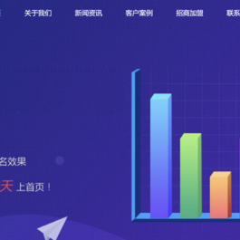 seo快排网站模板 大气的IT网络软件公司网站源码