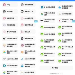 【IAPP源码】功能挺多的网站荧惑渗透源码