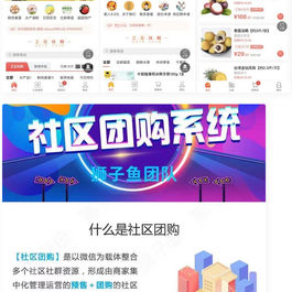 最新版微信狮子鱼社区团购小程序去后门独立开源版v14.3.0_带数据库_带前端