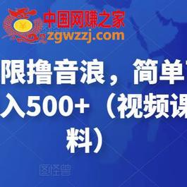 抖音直播无限撸音浪，简单可复制，偏门玩法，日入500+（视频课件+核心资料）