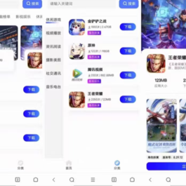 简约网页版软件库源码 精美ui全套源码+教程