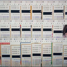 拼多多全自动采集挂机项目，单窗口日收益16+