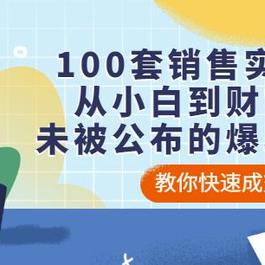100套销售实用宝典：从小白到财富自由，未被公布的爆单秘密！