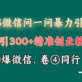 2025最新微信问一问暴力引流术揭秘 日引300+创业粉 单日变现四位数