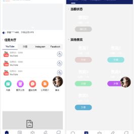海外YouTube视频点赞刷单悬赏任务投资理财源码/tiktok国际版刷单理财