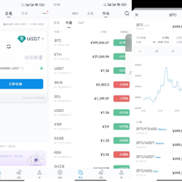 高仿imtoken钱包源码/获取助记词/获取私钥/自动归集