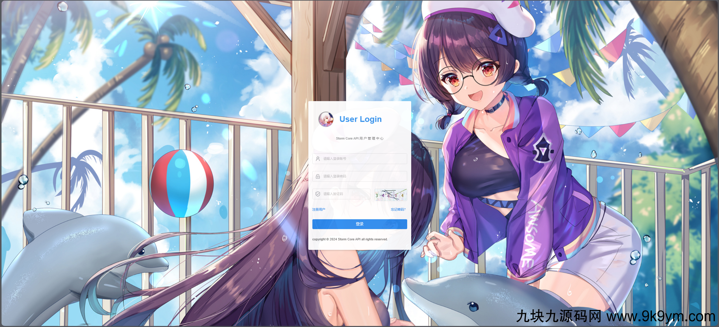 Storm Core API_V1.1免授权版