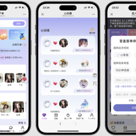 树洞源码最新版 可自定义更多功能 对标某duo陪 源码最新版