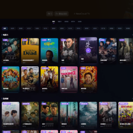NewCloud TV自动采集影视站 PHP+Vue.js