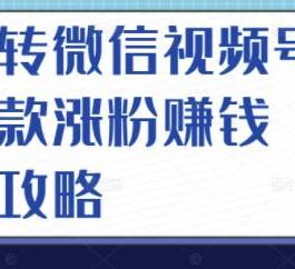 玩转微信视频号爆款涨粉赚钱全攻略 让你快速抓住流量风口 收获红利财富