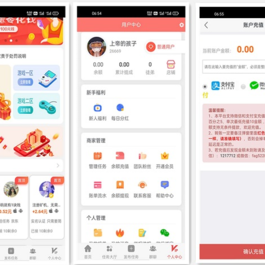 最新仿悬赏猫任务平台源码 悬赏任务系统源码 带支付接口
