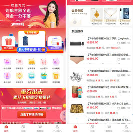 2023全新返佣商城分销商城理财商城系统源码 全开源PHP+VUE源码