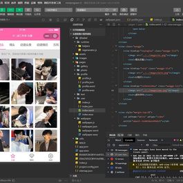 多套头像/壁纸/背景图资源微信小程序源码 粉色UI 带流量主