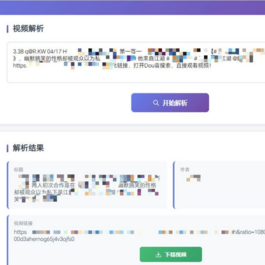 多平台短视频解析水印 v3.0 程序源码+视频解析工具