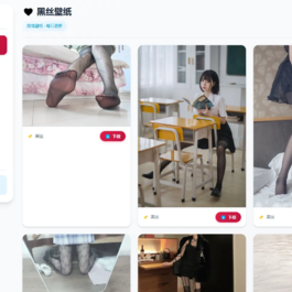 老司机壁纸源码 2.0 修复版 布局优化 + BUG 修复 可直接搭建运营