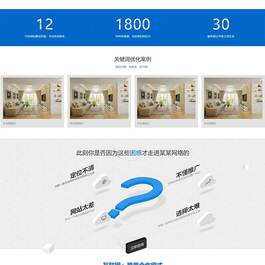 (自适应手机端)互联网营销企业网站源码 IT网络建站公司pbootcms模板