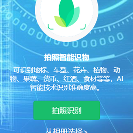 AI智能识物微信小程序