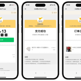 美团代付可对接易支付版源码