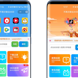 最新去水印小程序系统 前端+后端全套源码 多套模版 免授权