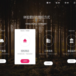 PHP域名授权系统网站授权授权管理工单系统精美UI支付系统团队合作代理返利发卡系统