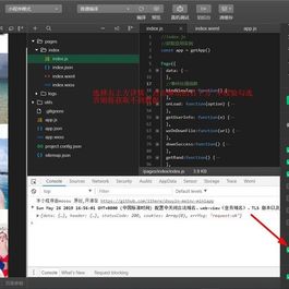 抖音美女视频小程序源码