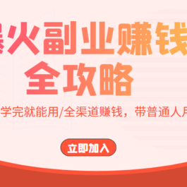 爆火副业赚钱全攻略：实打实演练/学完就能用/全渠道赚钱，带普通人月入３万元