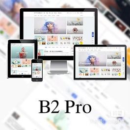 WordPress B2 Pro 主题5.2.0最新开心版绕过授权 附带官方包体与授权文件