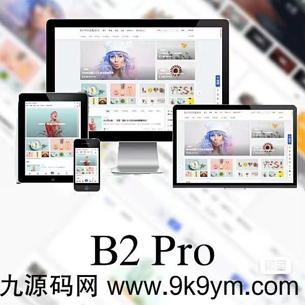 WordPress B2 Pro 主题5.2.0最新开心版,附带官方包体与授权文件