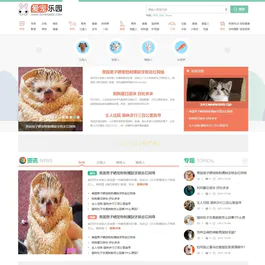 discuz迪恩宠物社区模板 宠物论坛网站源码