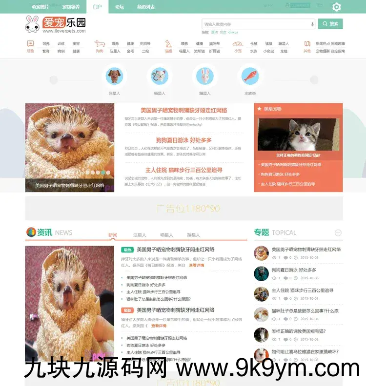 discuz迪恩宠物社区模板 宠物论坛网站源码