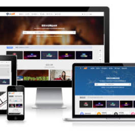 RiPro-V5激活版V7.1.3 RiPro-V5开心版