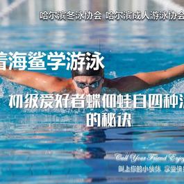 怎样学游泳 游泳新手教程 哈尔滨游泳协会入门推荐教程 游泳全面教程分享