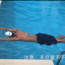 B站新手教学游泳课在线教程